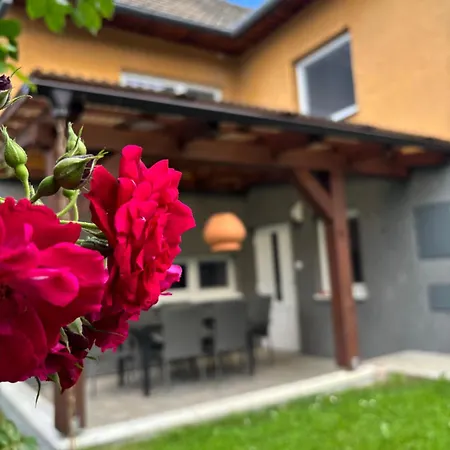 Apartment Domcek U Stryka 1 *
